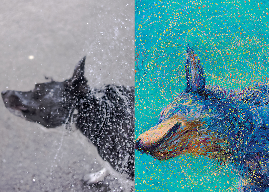 Bonus shot of Reilly shaking water off, alongside Iris Scott's Shaking Blue Heeler