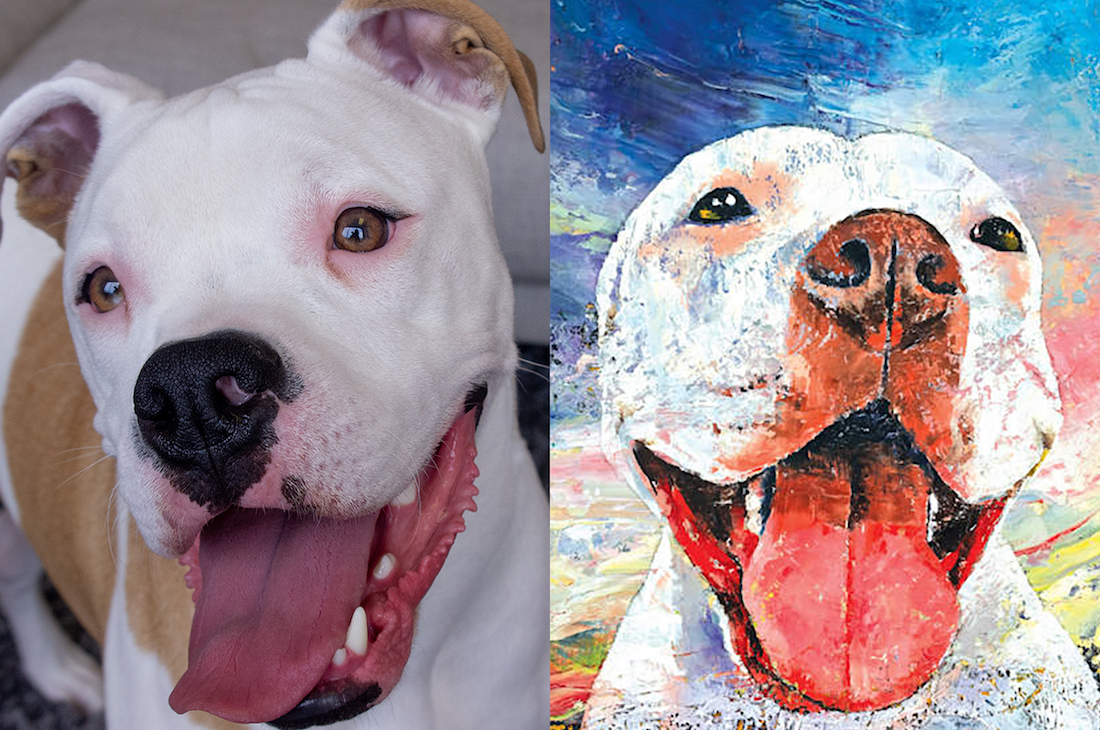 George, a mixed breed, and Michael Creese's PItbull