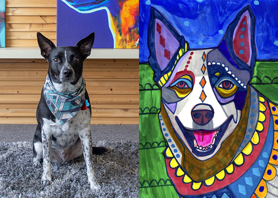 Reilly, a Blue Heeler, and Heather Galler's Australian Cattle Dog