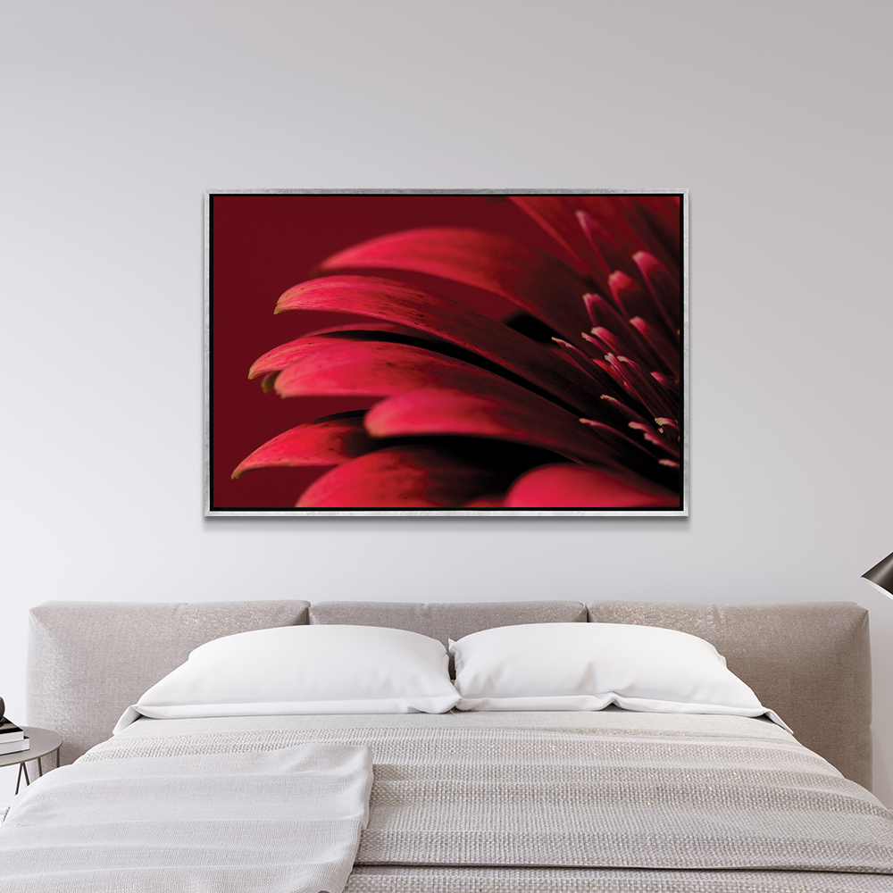 Tom Quartermaine’s Petals of a Red Gerbera in a beautiful neutral bedroom
