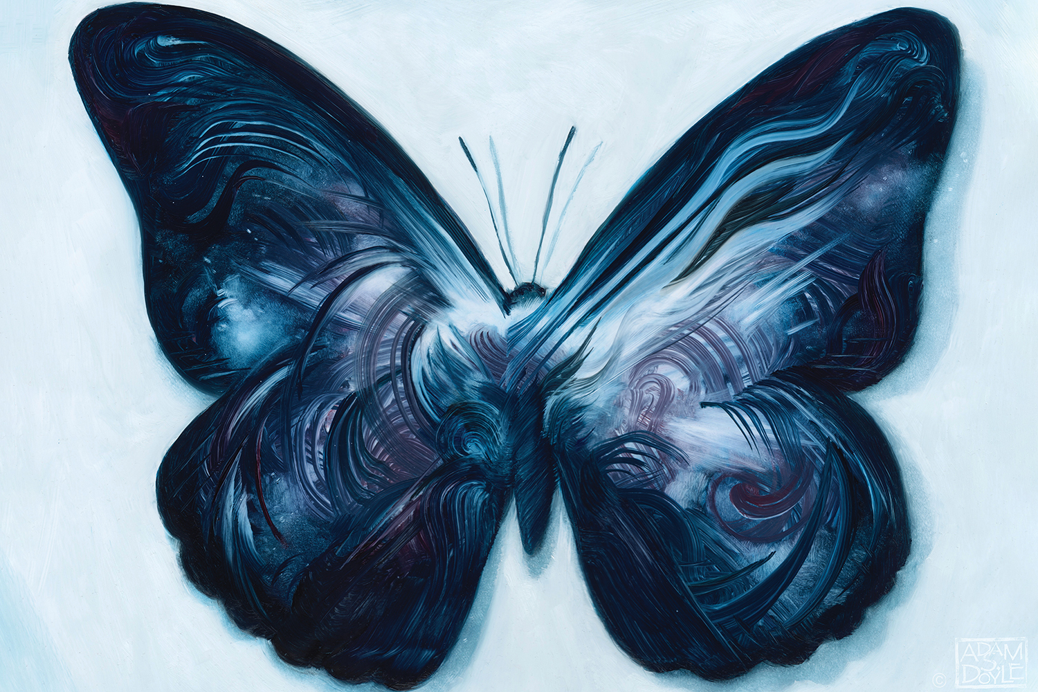 a dark blue butterfly or moth with textured paint on the wings