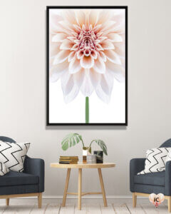 close up symmetrical image of a blooming white flower