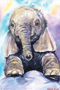 portrait of a happy baby elephant