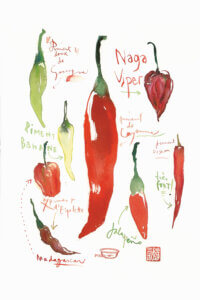 a white print showing eight pepper variations with their names including jalapeno, naga viper, and madagascar