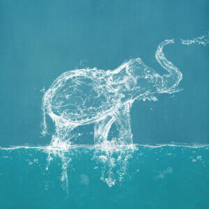the shape of an elephant blowing water out of its trunk made completely out of water splashes