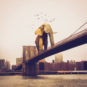 a giant elephant crossing the brooklyn bridge with a flock of birds flying nearby