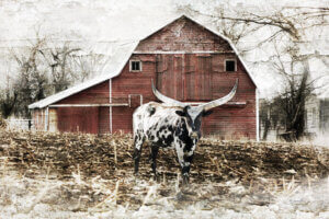 High exposure photo of red barn surrounded by tree branches with longhorn cow in front
