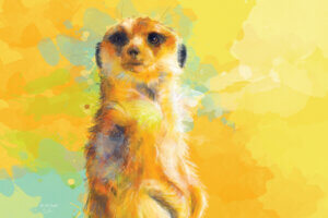 Meerkat standing against a yellow background