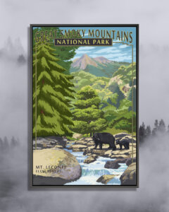 Graphic of adult and baby black bear near a stream with rocks surrounded by forest trees with mountains in the background and text that says Great Smoky Mountains National Park