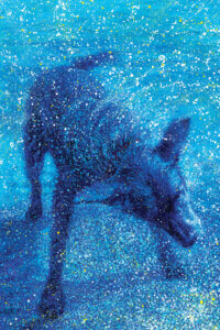 Image of dog shaking water off into tiny splattered dots on a blue background