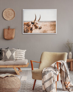 Photo of profile of a brown longhorn cow framed in white on a gray wall in room with wood furniture and white and beige accents