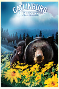 Graphic of adult and baby black bears in a field of yellow flowers with forest in the background and text that says Gatlinburg Tennessee