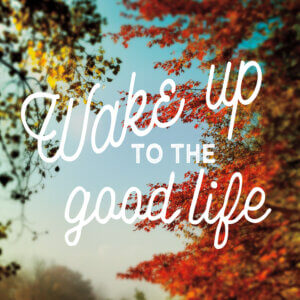 Typography with positive phrase over image of fall foliage