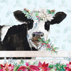 Image of a cow wearing a Christmas floral crown with mistletoe in its mouth leaning over a white fence lined with poinsettias