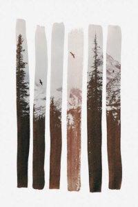 Sepia toned photo of a snowy mountain scene with tall trees and two flying birds revealed in six vertical paint stroke shapes on a white background