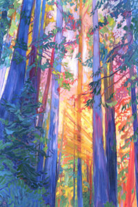 “Old Souls Dream” by Jessica Johnson shows large, colorful redwood tree trunks with beams of sunlight passing through them.