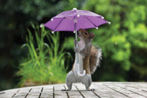 “Umbrella I” by Max Ellis shows a squirrel holding a mini purple umbrella.