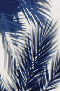 “Palm Shadows Blue II” by Melonie Miller shows blue palm leaves and their shadows against a white background.