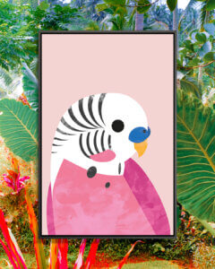 “Budgie” by Dan Hobday shows a white and pink budgerigar against a pink background.