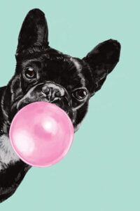 “Sneaky Bulldog Blowing Bubble Gum in green” by Big Nose Work shows a portrait of a black french bulldog blowing pink bubblegum against a green background.