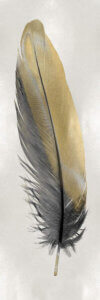 “Gold Feather On Silver I” by Julia Bosco shows a gold and gray feather on a silver background.