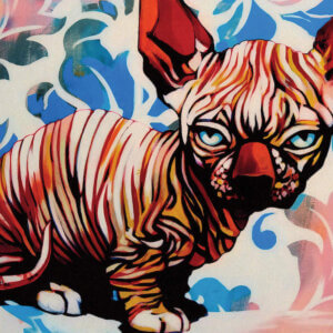 “Jealousy” by Fernan Mora shows a hairless sphynx cat with blue eyes against a patterned pink and blue background.