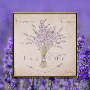 Framed wall art of lavende panel by iCanvas artist Debi Coules against a lavender field background
