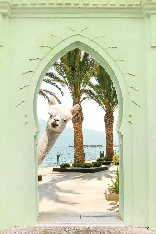 wall art of a white llama peeking through a green doorway with palm trees and ocean behind it by iCanvas artist Erin Summers