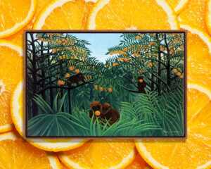 Monkeys in a jungle with oranges