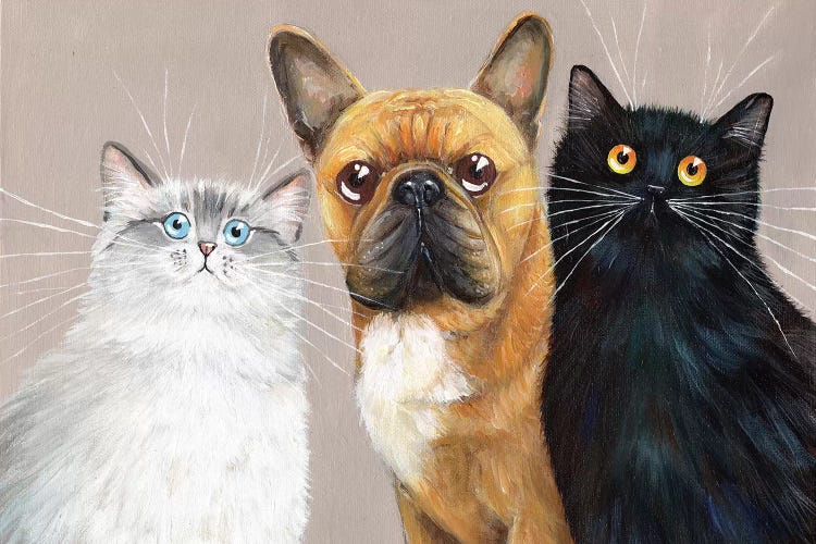 Wall art of a white cat, brown dog and black cat by iCanvas artist Kim Haskins