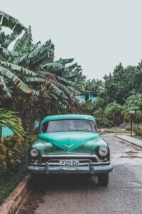 Green vintage car parked by palm trees in Cuba