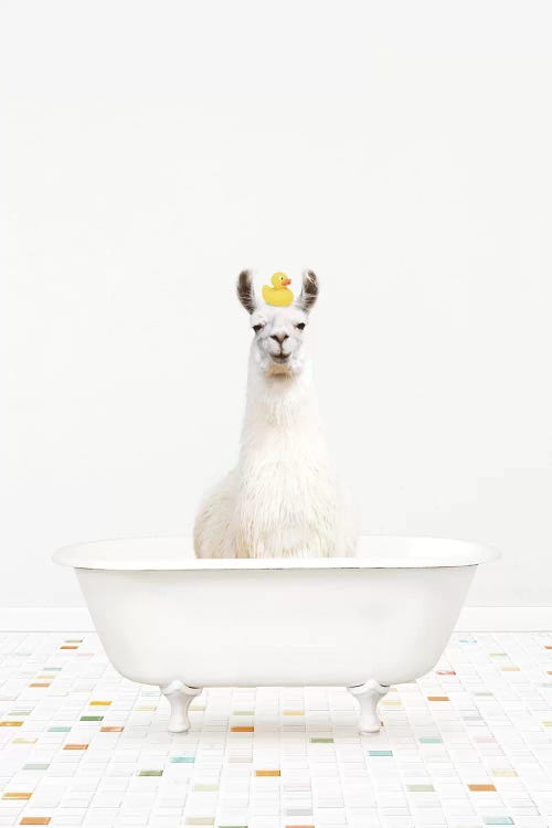 Wall art of a white llama in a bathtub with a yellow rubber ducky on its head by Amy Peterson