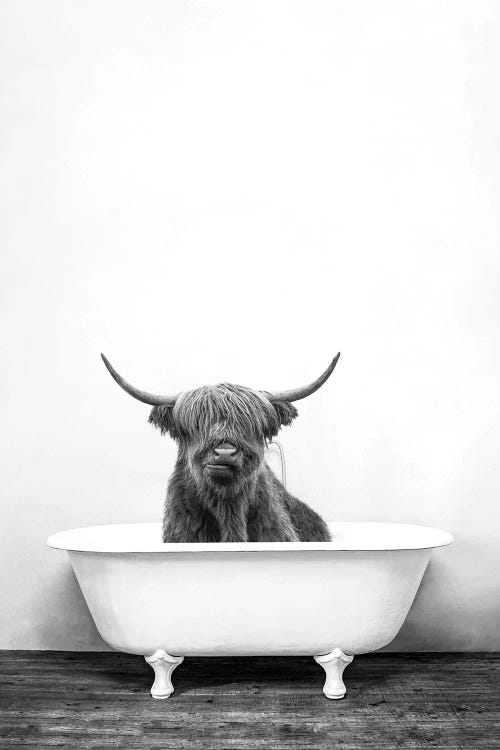 Black and white wall art of a highland cow in a bathtub by iCanvas artist Amy Peterson