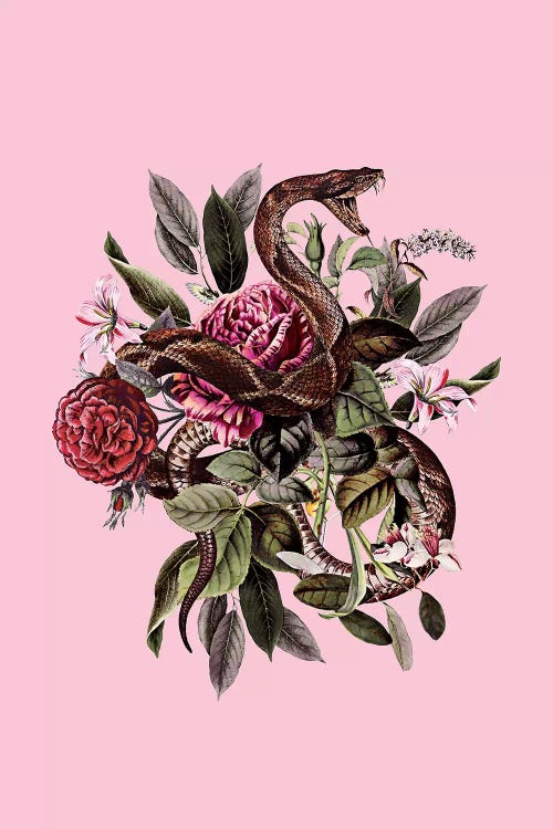 Wall art of green leaves, red flowers and a snake against a pink background by iCanvas artist Burcu Korkmazyurek