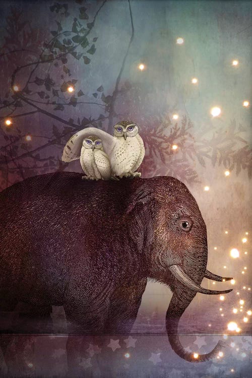 Wall art of an elephant with two white owls on its back with twinkling lights around them by iCanvas artist Catrin Welz-Stein