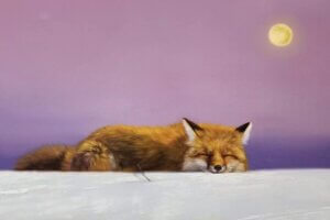 Painting of a red fox sitting in the snow against a purple sky and full moon by Lucia Heffernan