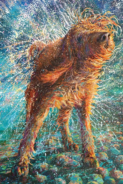 Oil painting of a brown shaggy dog shaking water off itself by iCanvas artist Iris Scott