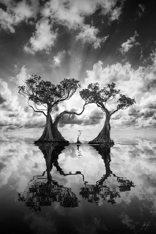 Wall art of two trees and clouded sky reflected in a pond by Kathrin Federer