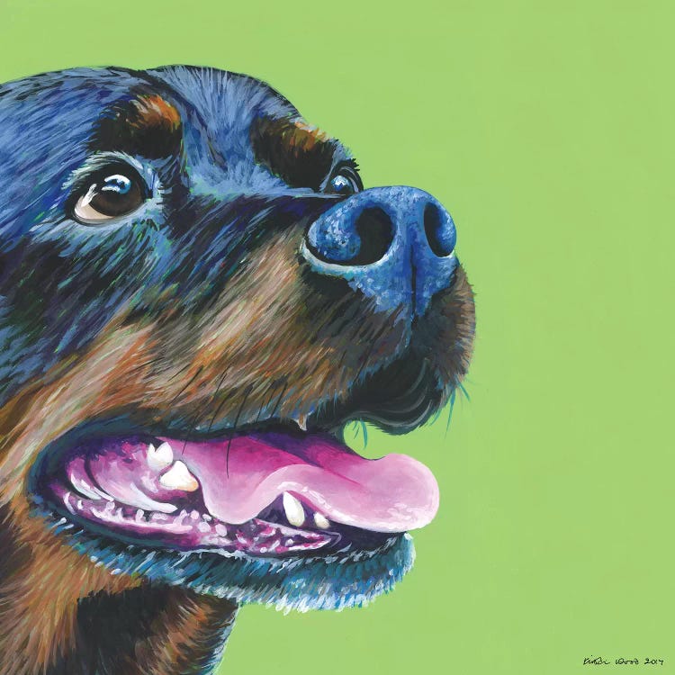 Portrait of a rottweiller against green background by female artist Kristin Wood