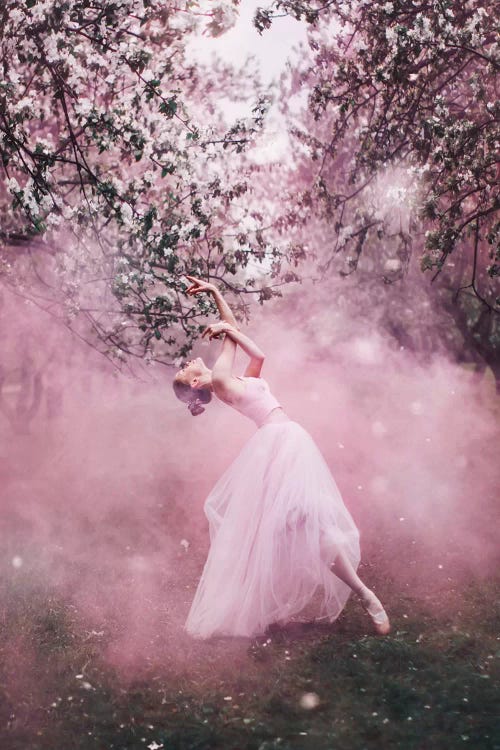 Photograph of ballerina in pink dress standing under pink flowered trees by female artist Hobopeeba