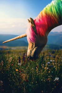 surreal photography of a unicorn with rainbow mane grazing in wildflower field by Soaring Anchor Designs
