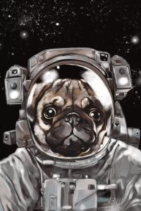 Astronaut space art featuring a pug in a space suit against the night sky by iCanvas artist Big Nose Work