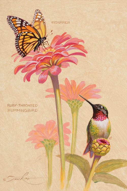 Wall art of a hummingbird and butterfly on pink flowers by iCanvas new artist Ezra Tucker