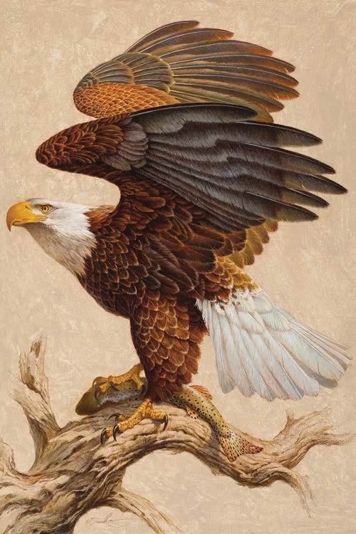 Fine art painting of a bald eagle with a fish in its talons by iCanvas artist Ezra Tucker