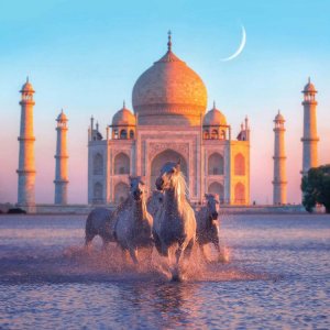 Virtual escpaism wall art featuring horses running in front of Taj Mahal at sunset