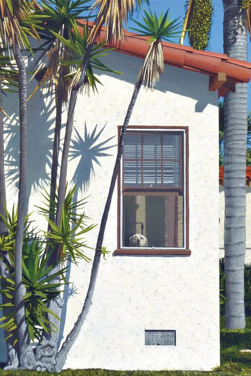 Photorealistic painting of the corner of a dog peeking through the window of a white house by a palm tree by Michael Ward