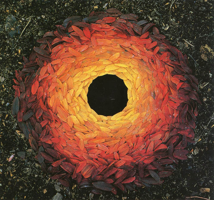 Rowan Leaves Laid Around a Hole by Andy Goldsworthy