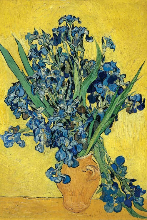 Irises by Vincent Van Gogh