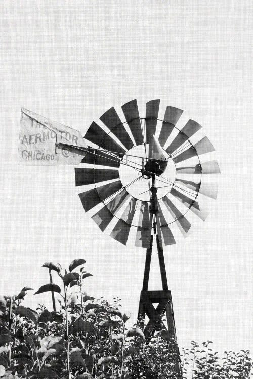 Black and white photography of a windmill by new iCanvas creator Amelie Vintage Co