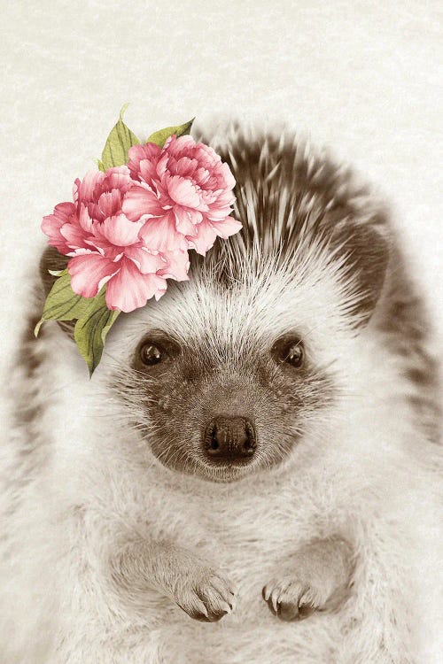 Sepia pet portrait of a hedgehog with pink flowers on head by new iCanvas artist Amelie Vintage co